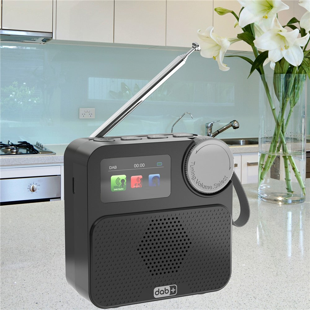 P2D 1.47 Inch Bluetooth-compatible Portable DAB Radio with TF Card MP3 Player