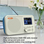 Bærbar radio, digital modtager, AM/FM-stereo, genopladelig, understøtter TF-kort, USB-port, sleep-timer