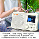 Bærbar radio, digital modtager, AM/FM-stereo, genopladelig, understøtter TF-kort, USB-port, sleep-timer