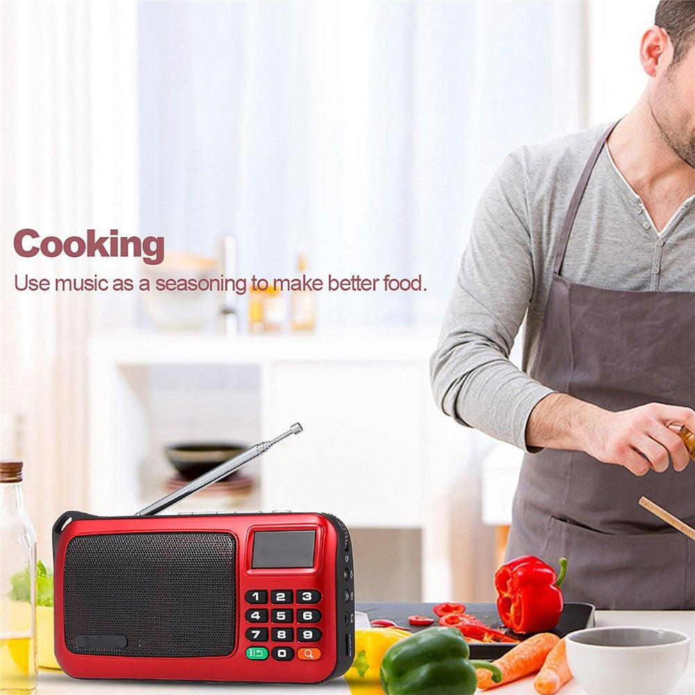 ROLTON W405 FM Digital Radio Portable USB Wired Computer Speaker HiFi Stereo Receiver Support TF Music Play Flashlight